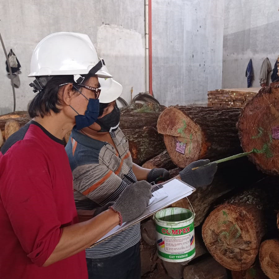 Proses Pengeringan Kayu